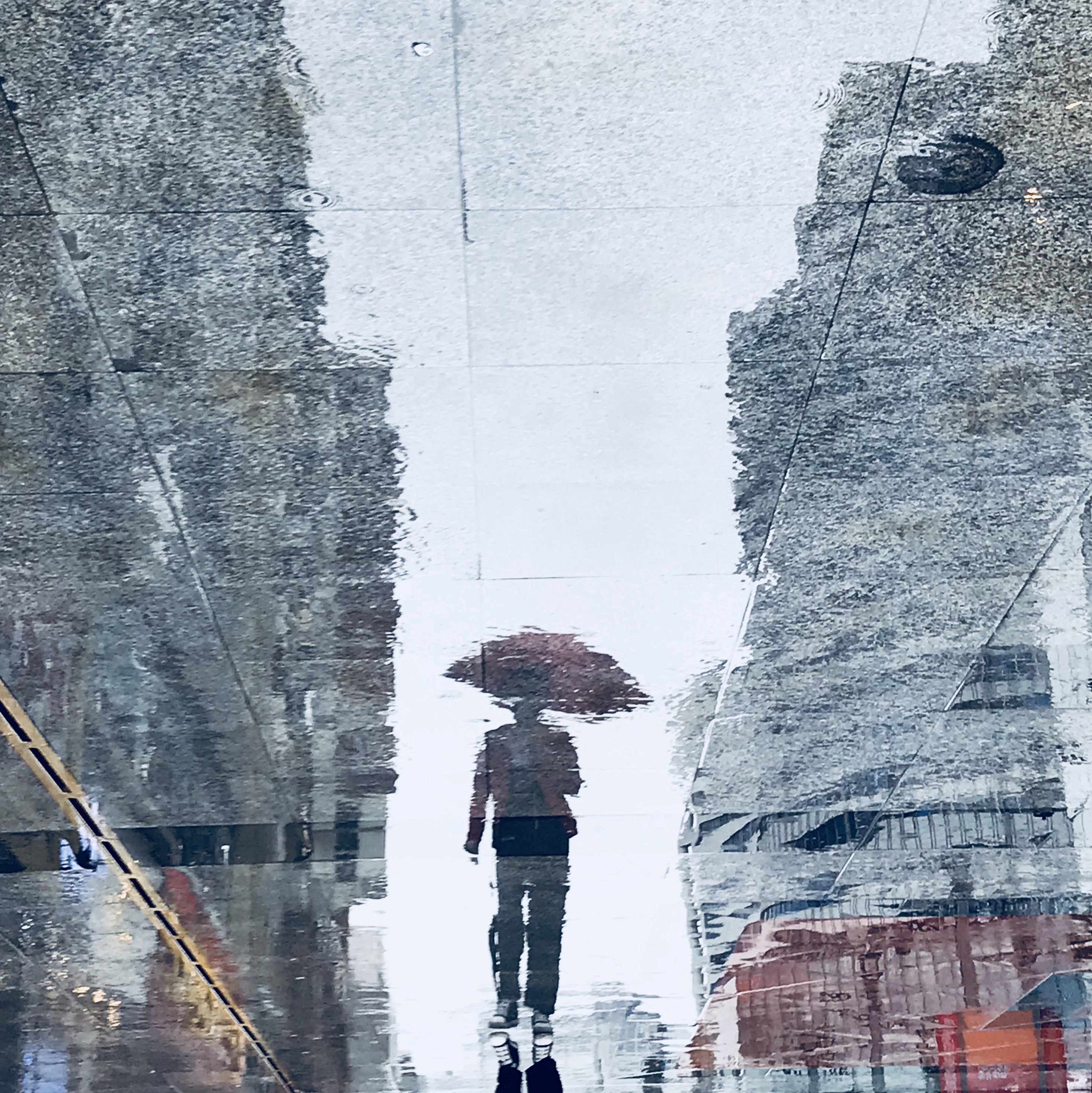 雨后春熙路