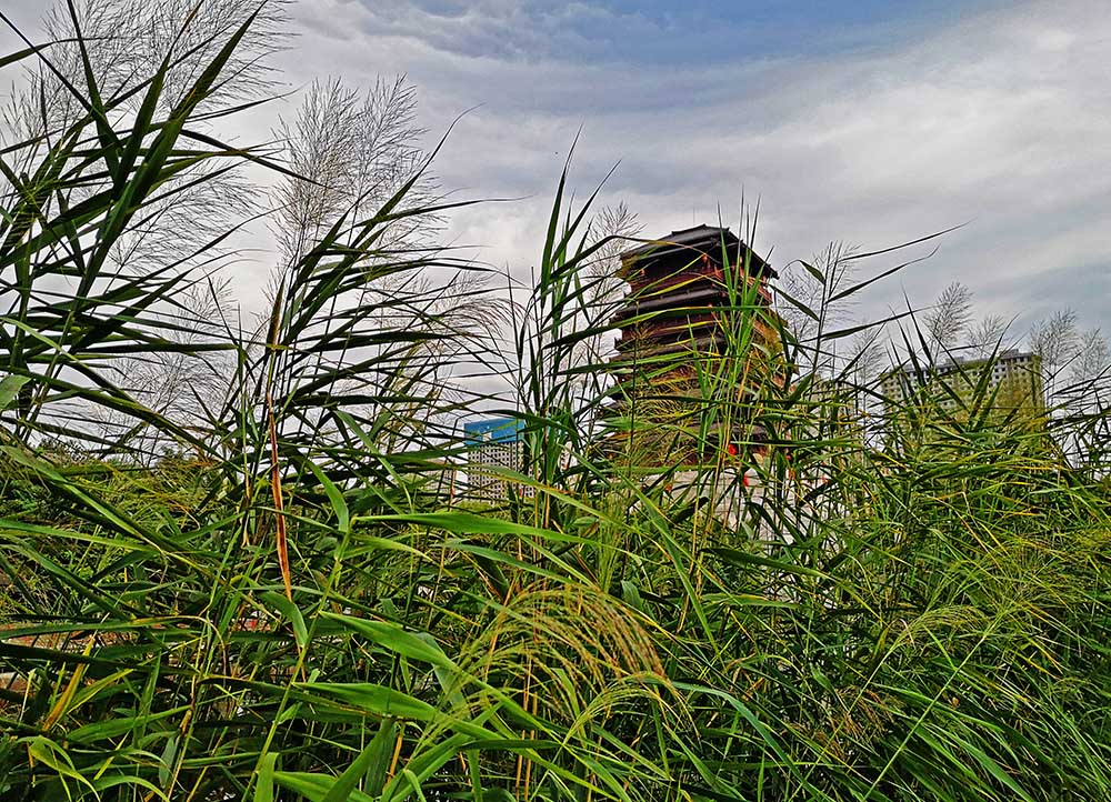 20200811_184140.jpg