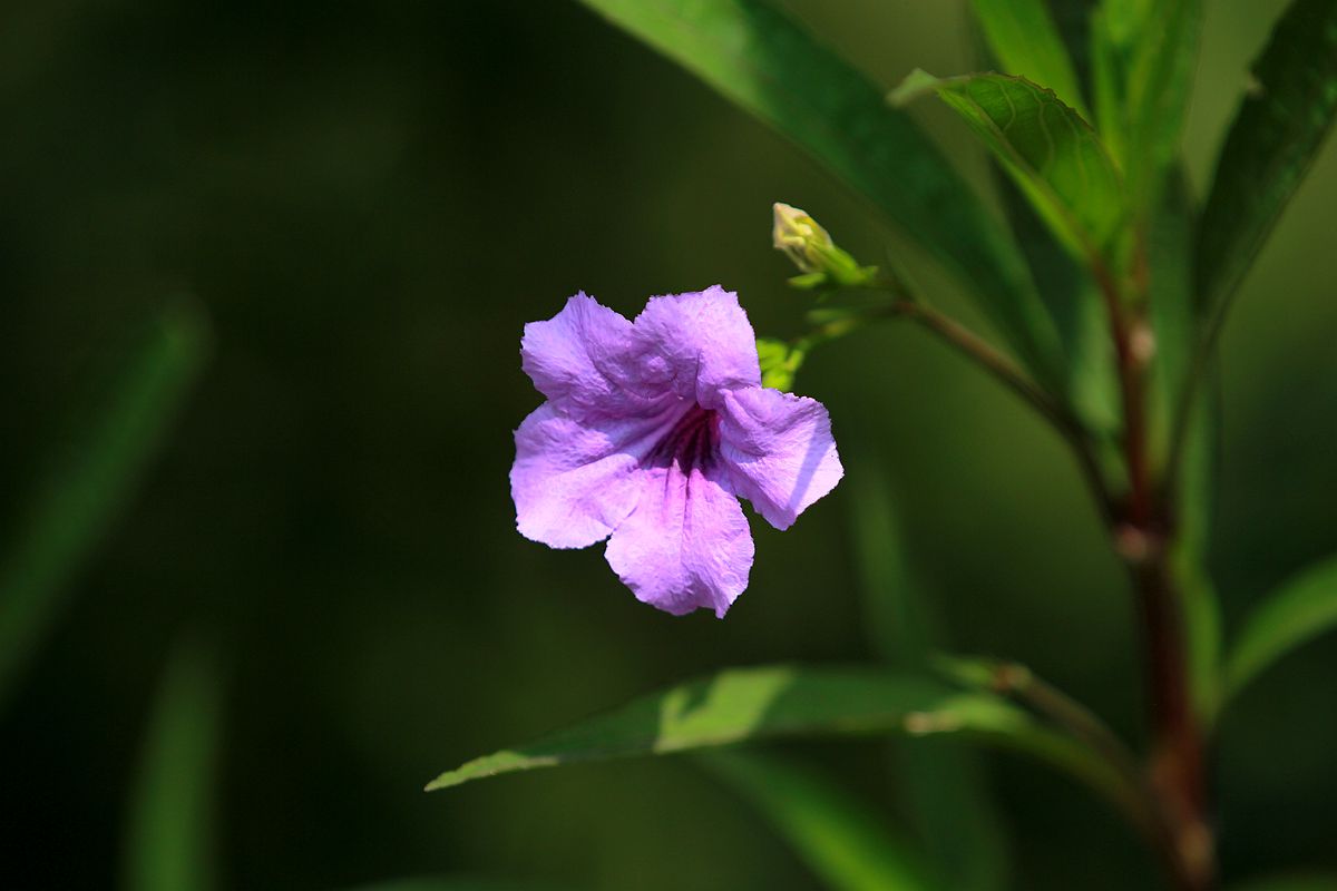 IMG_6401_副本.jpg