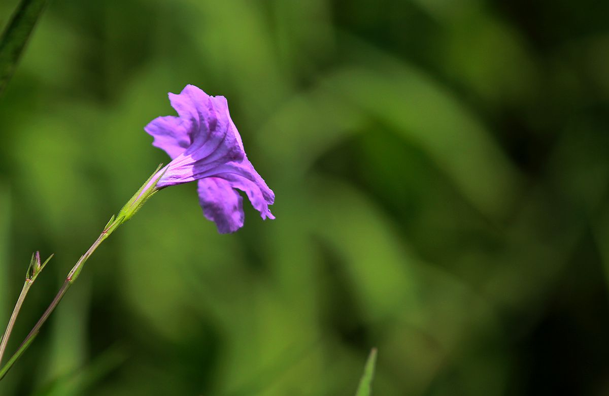 IMG_6411_副本.jpg