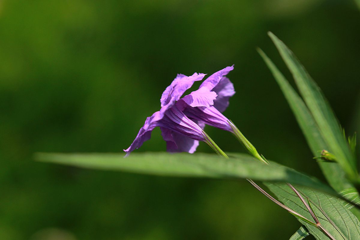 IMG_6673_副本.jpg