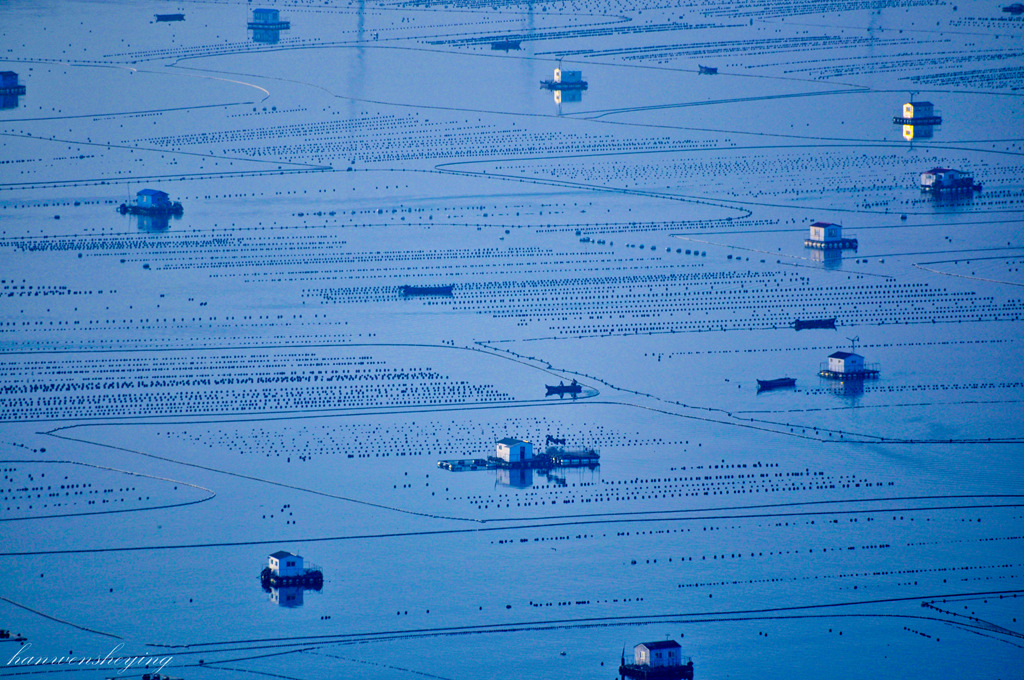 DSC_0355.JPG