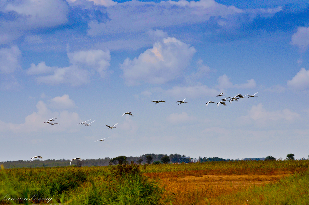 DSC_0019.JPG