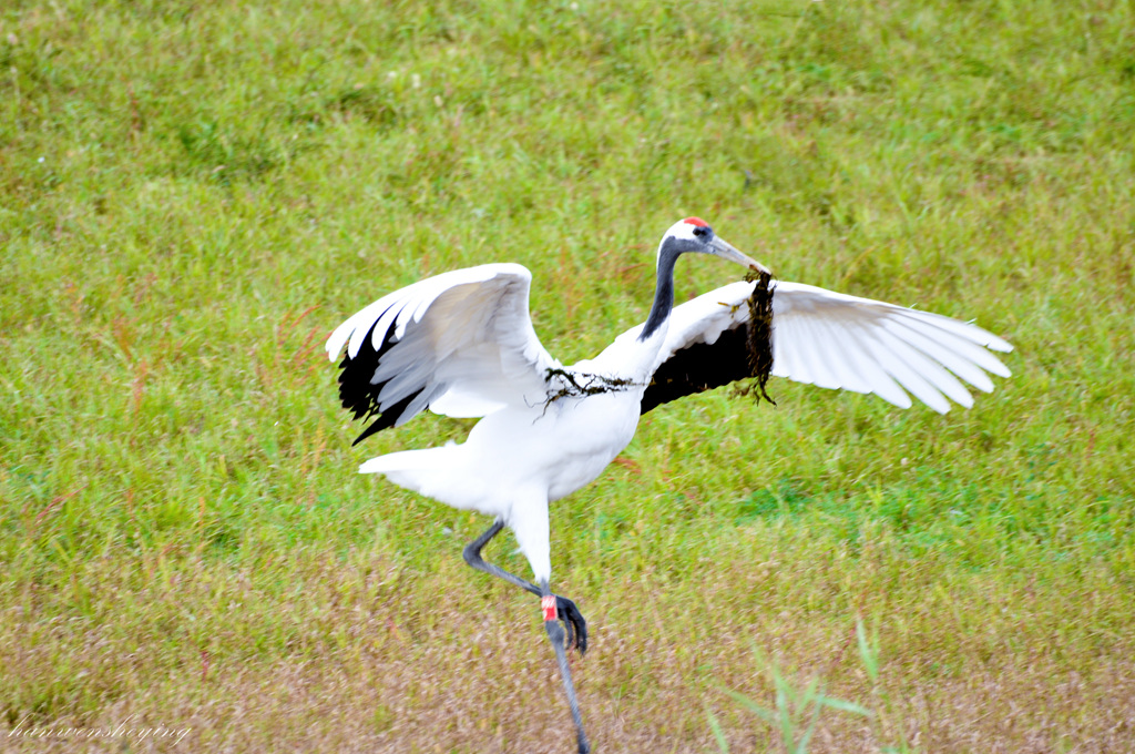 DSC_0125.JPG