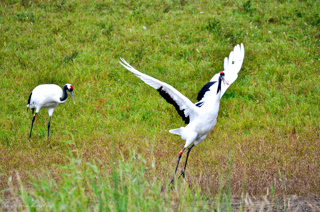 DSC_0144.JPG