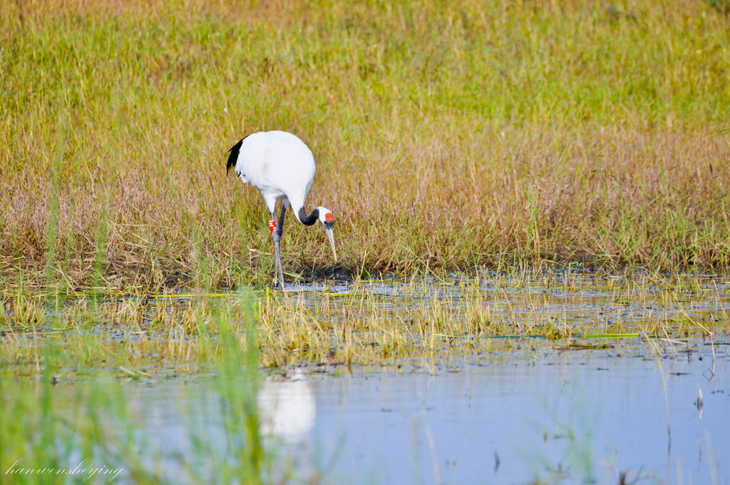 DSC_0194.JPG