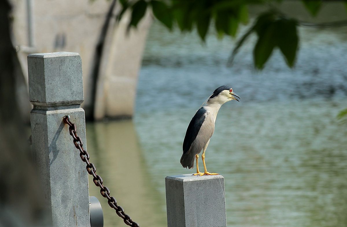 IMG_6536_副本.jpg