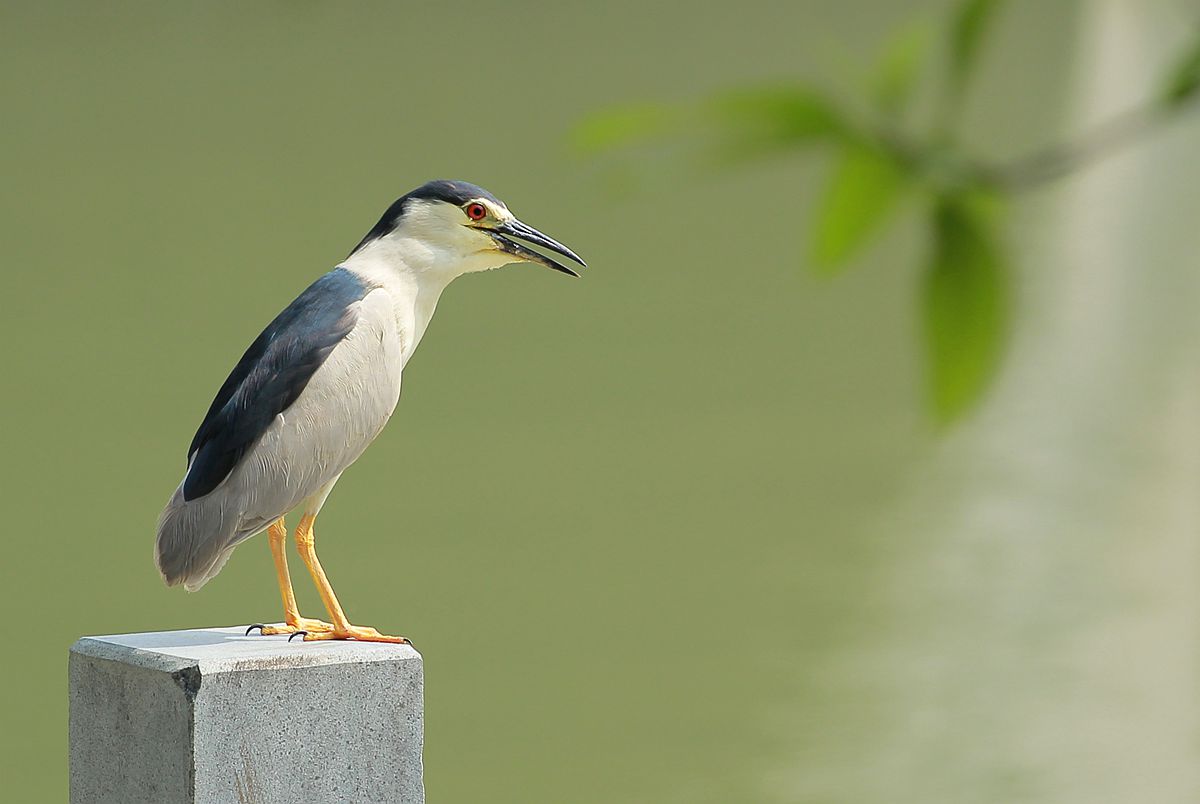 IMG_6548_副本.jpg