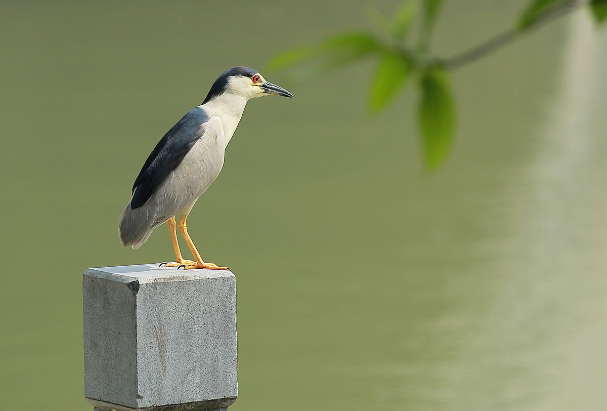 IMG_6543_副本.jpg