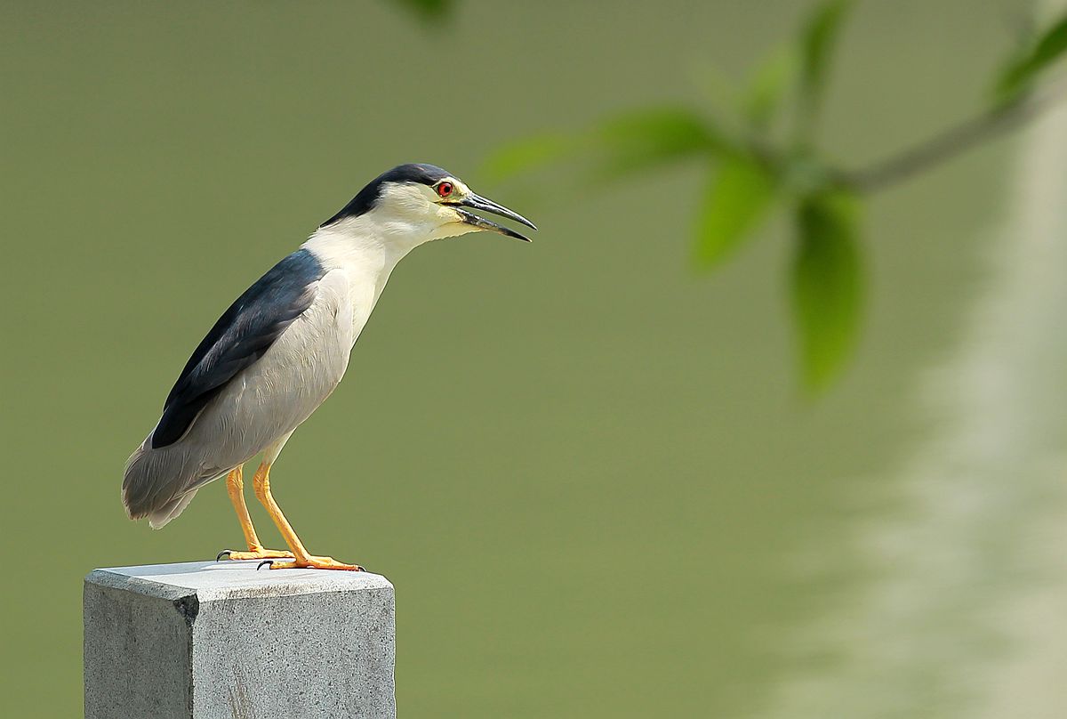 IMG_6549_副本.jpg