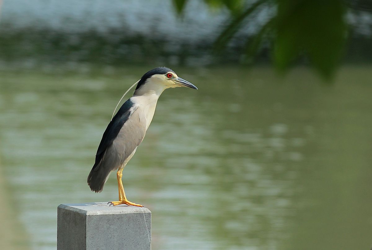 IMG_6553_副本.jpg