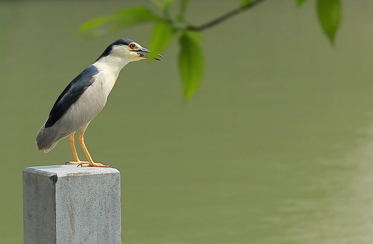 IMG_6555_副本.jpg