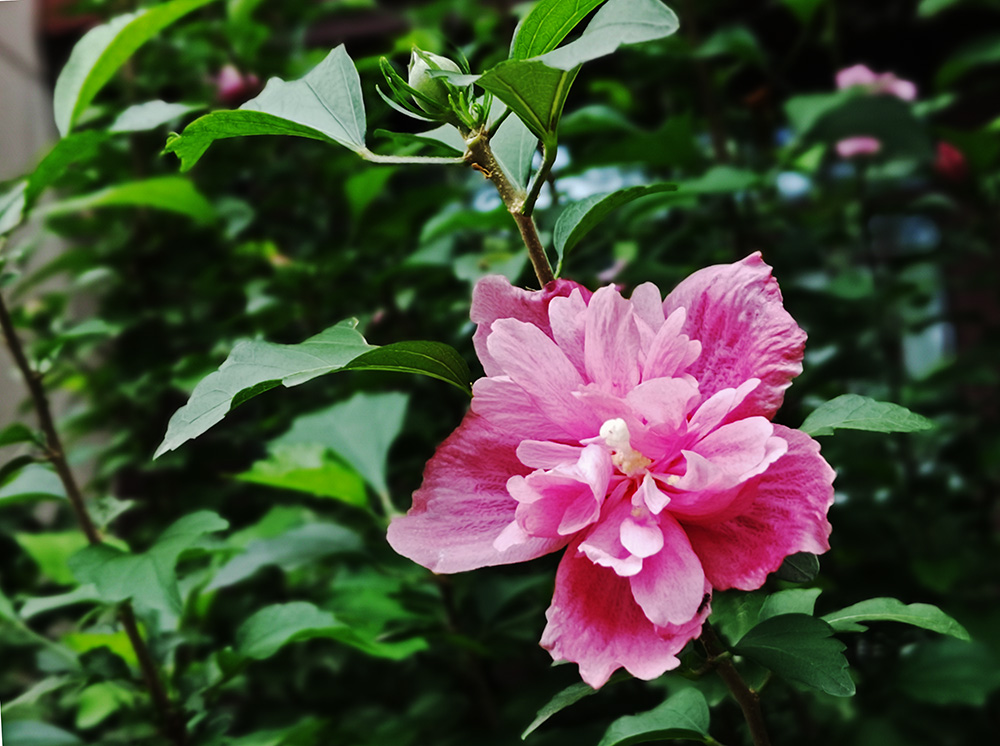 20200819_160545.jpg