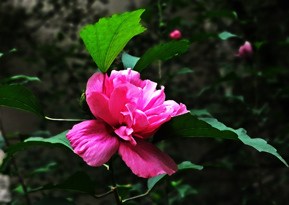 20200819_160558.jpg