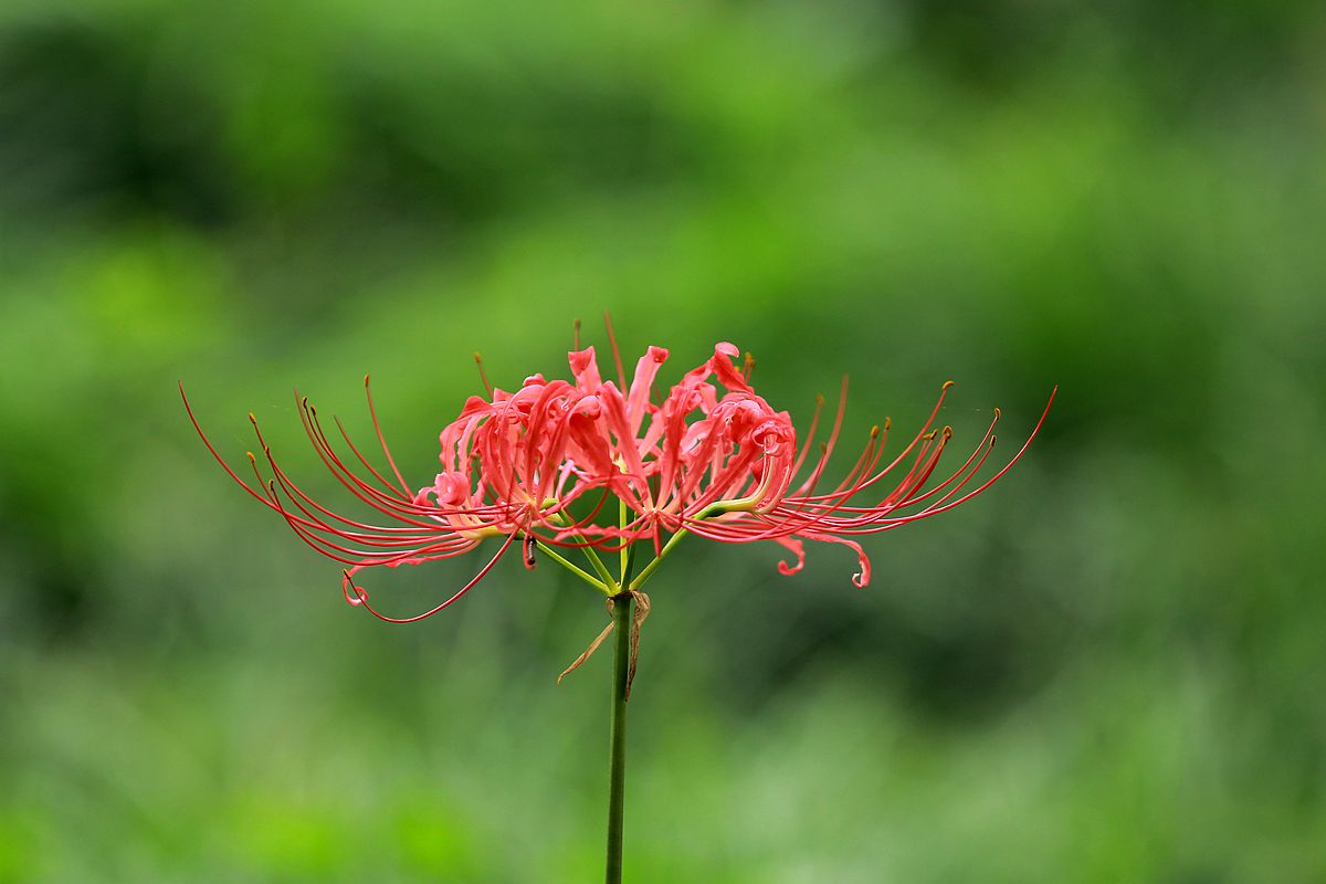 IMG_5883_副本.jpg