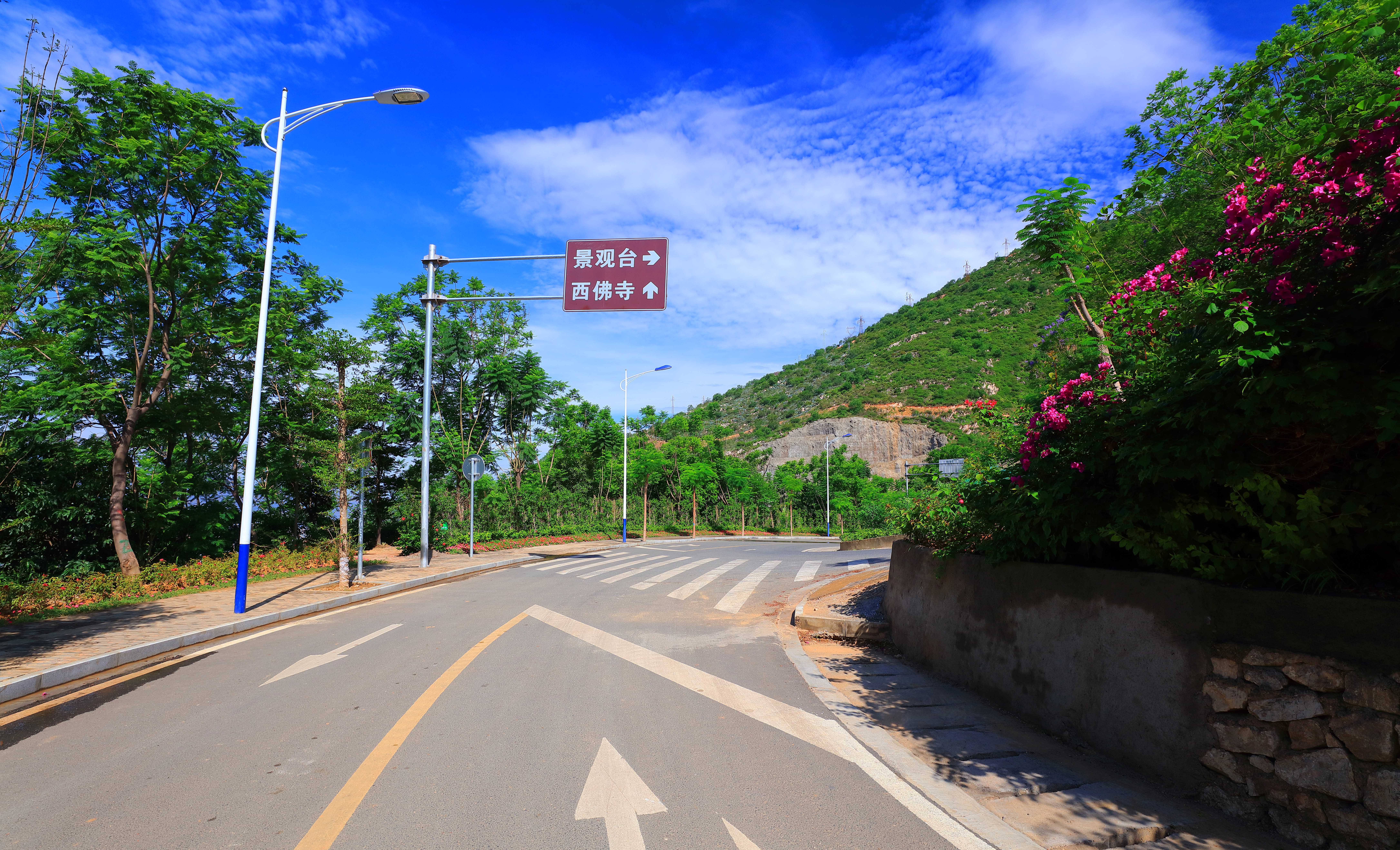 287A6851-.jpg