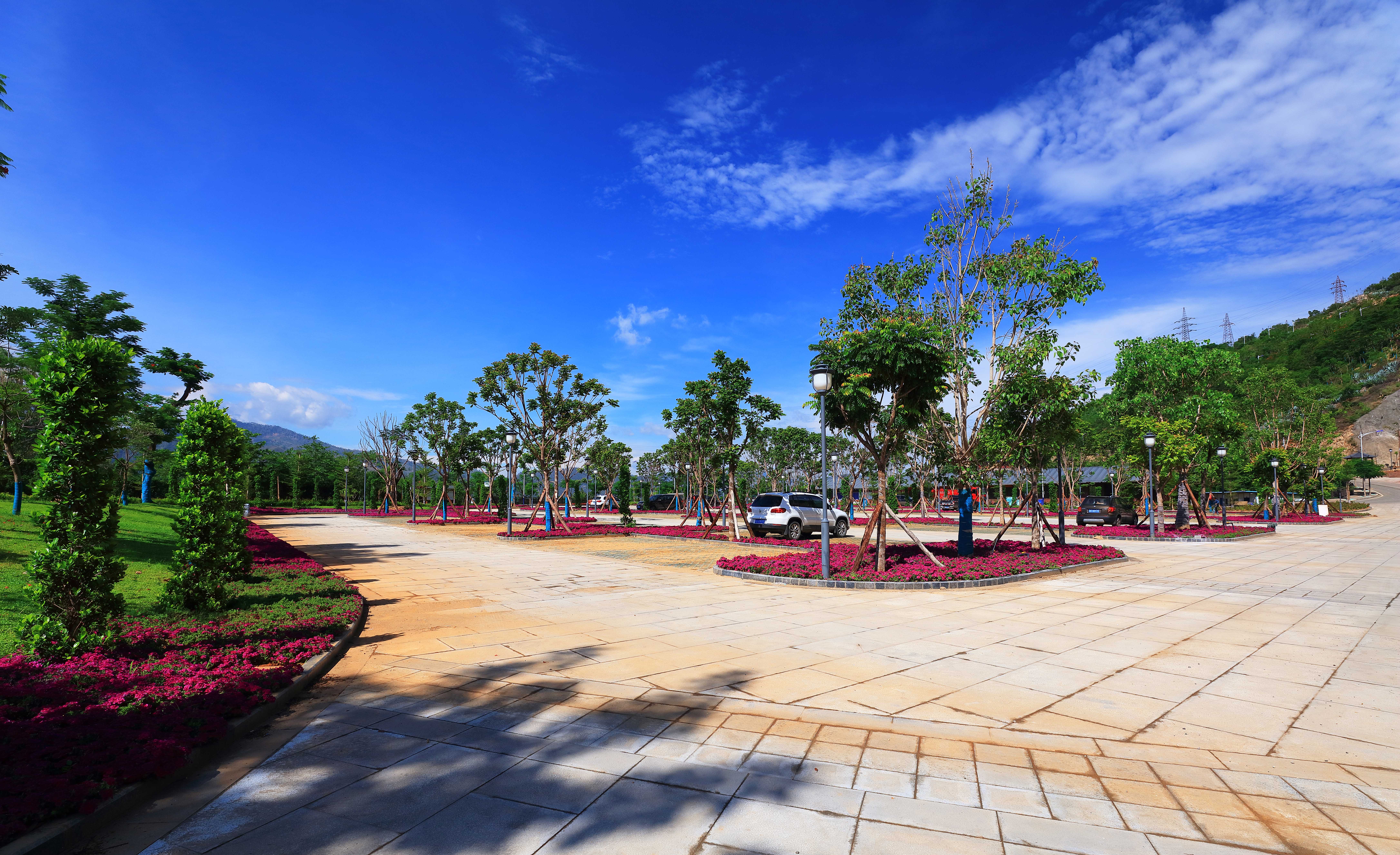 287A6858-.jpg
