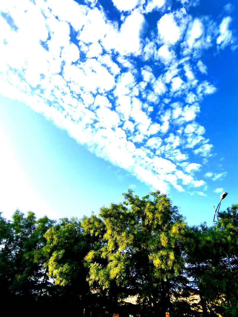 1IMG_20200825_063537_副本.jpg