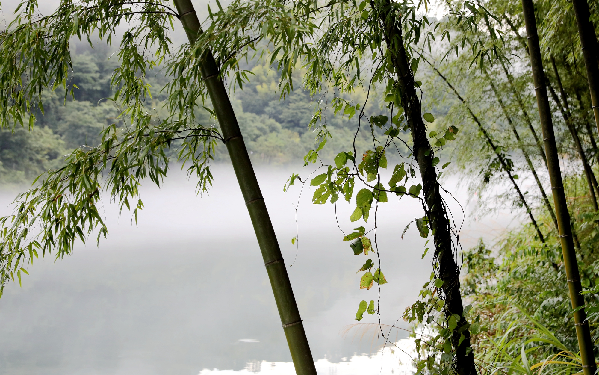 527A2975_副本.jpg