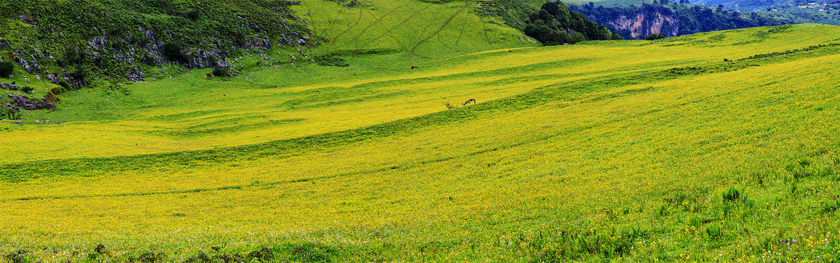 IMG_2467-Pano.jpg