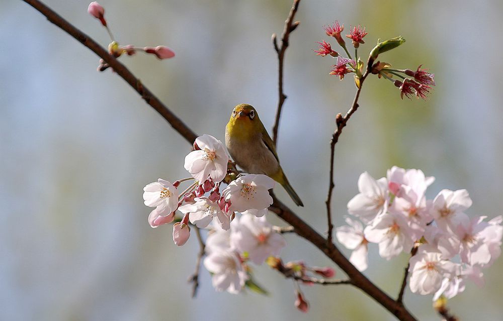 IMG_5530_副本_副本.jpg