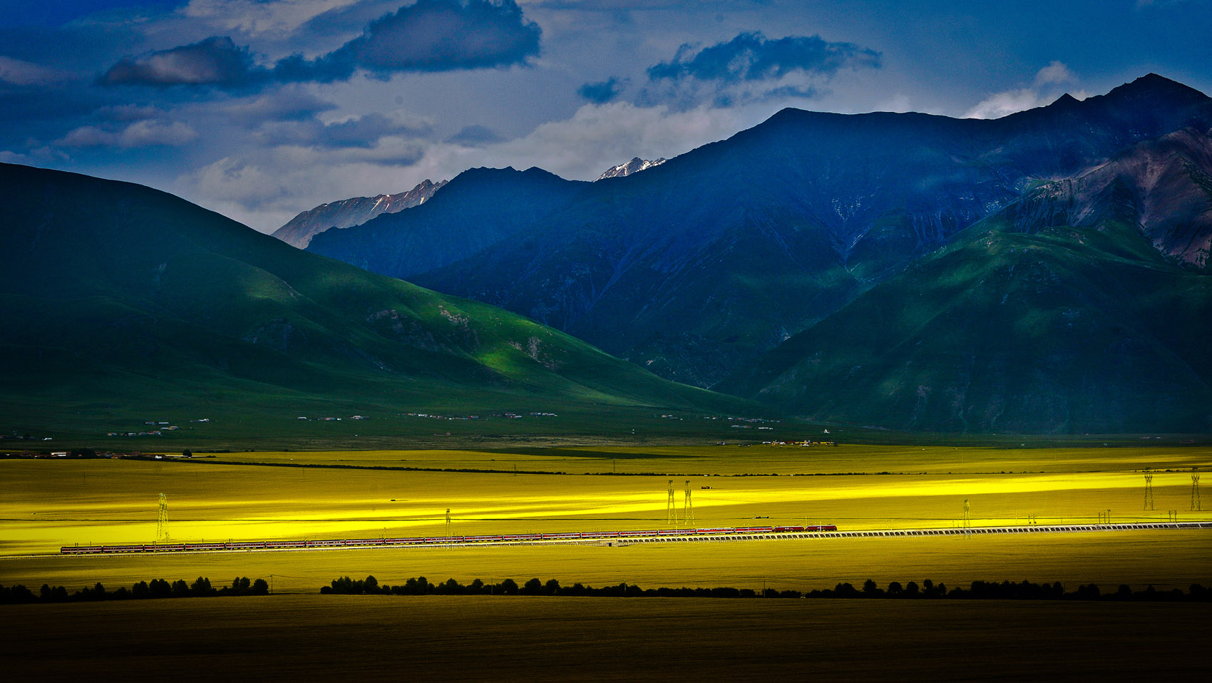 驰骋在花海中3DSC_1489=1234=123.jpg