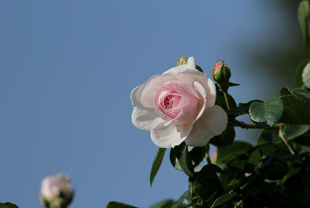 IMG_1408_副本_副本.jpg