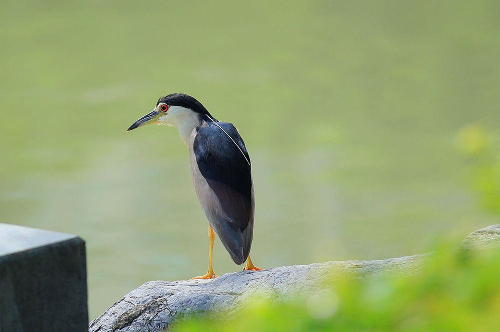 IMG_7277_副本_副本.jpg