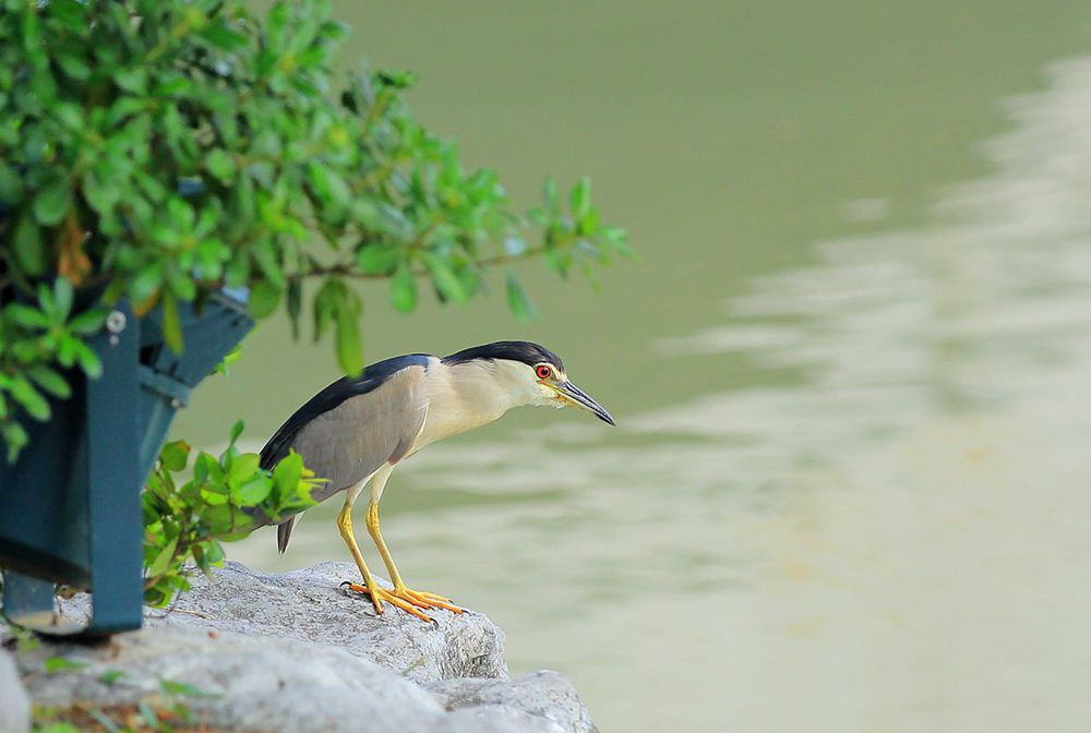 IMG_7275_副本_副本.jpg