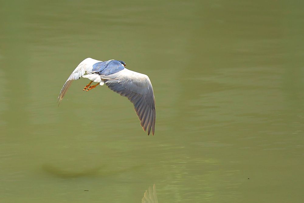 IMG_7289_副本_副本.jpg