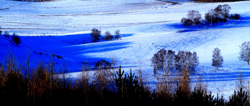 _MG_6960.JPG