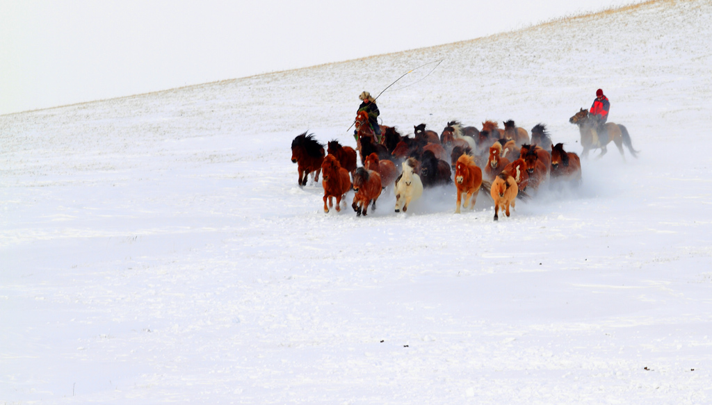_MG_79932.JPG