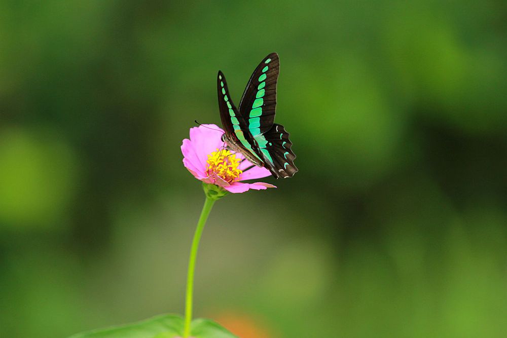 IMG_5793_副本_副本.jpg