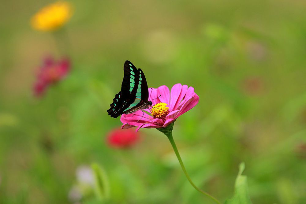 IMG_5839_副本_副本.jpg