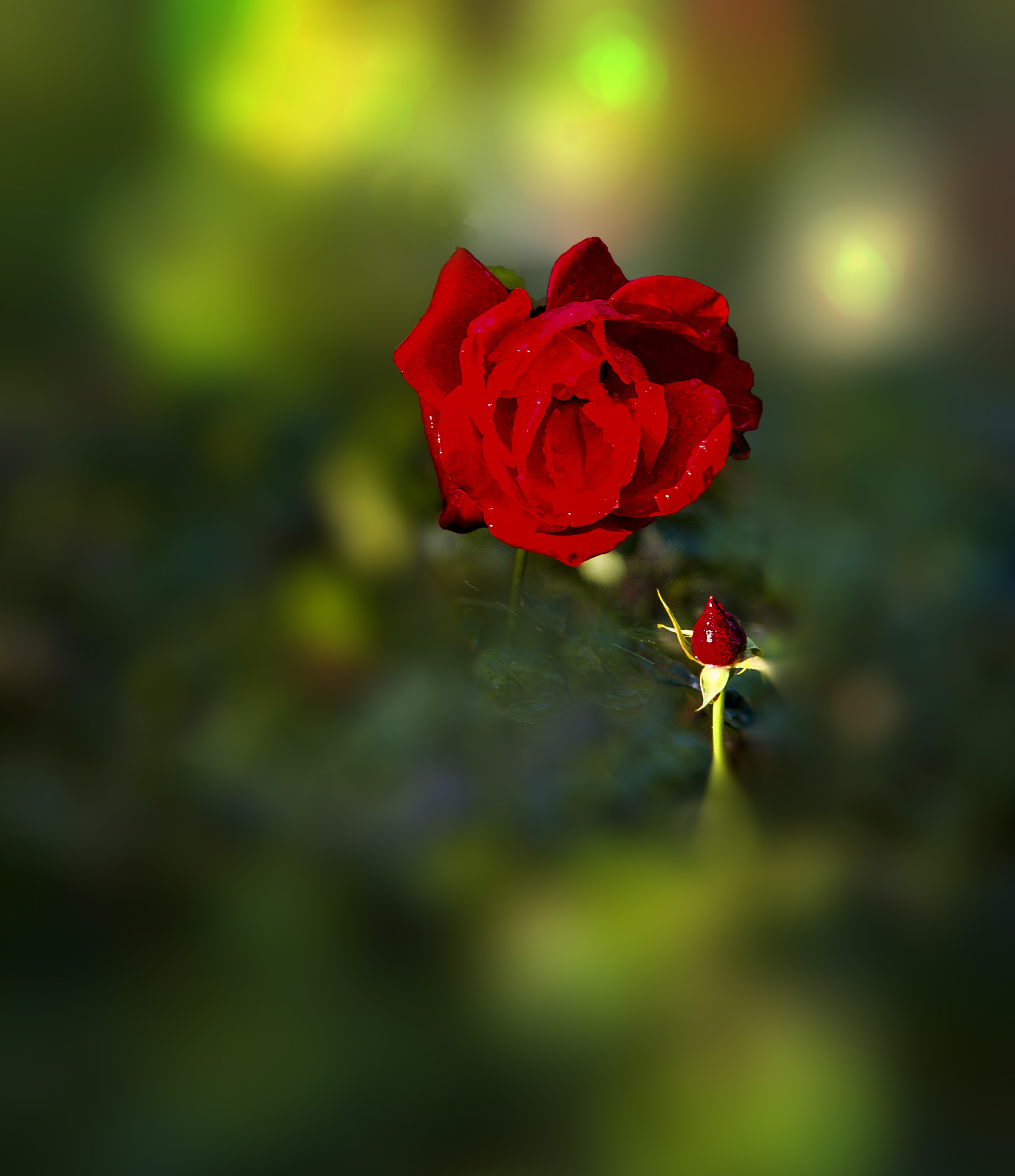 IMG_7571.jpg