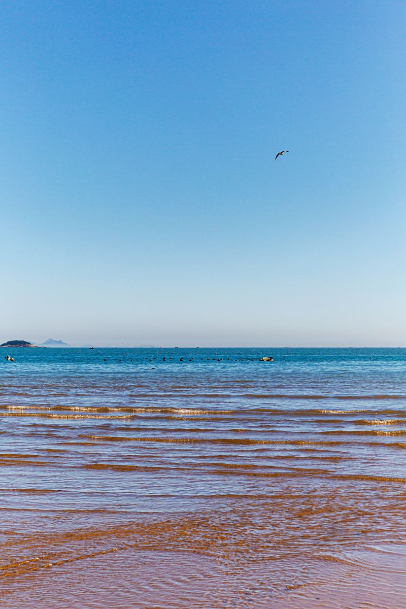 8E6A0040_副本.jpg