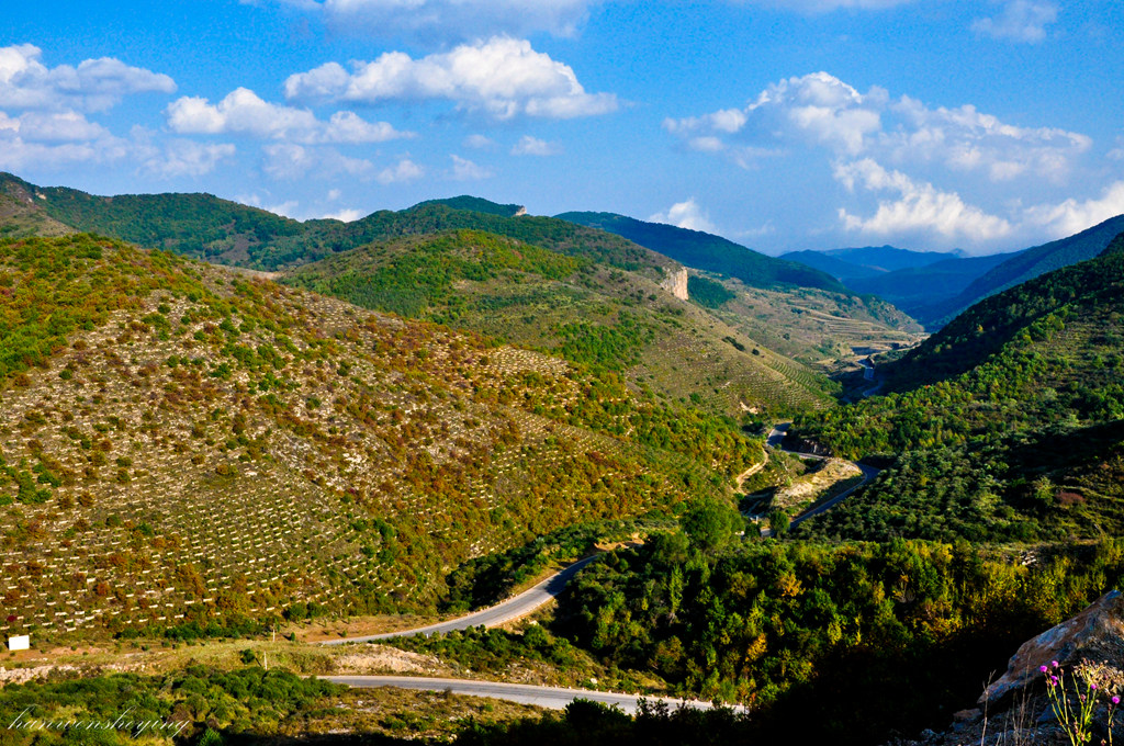 DSC_0046.JPG