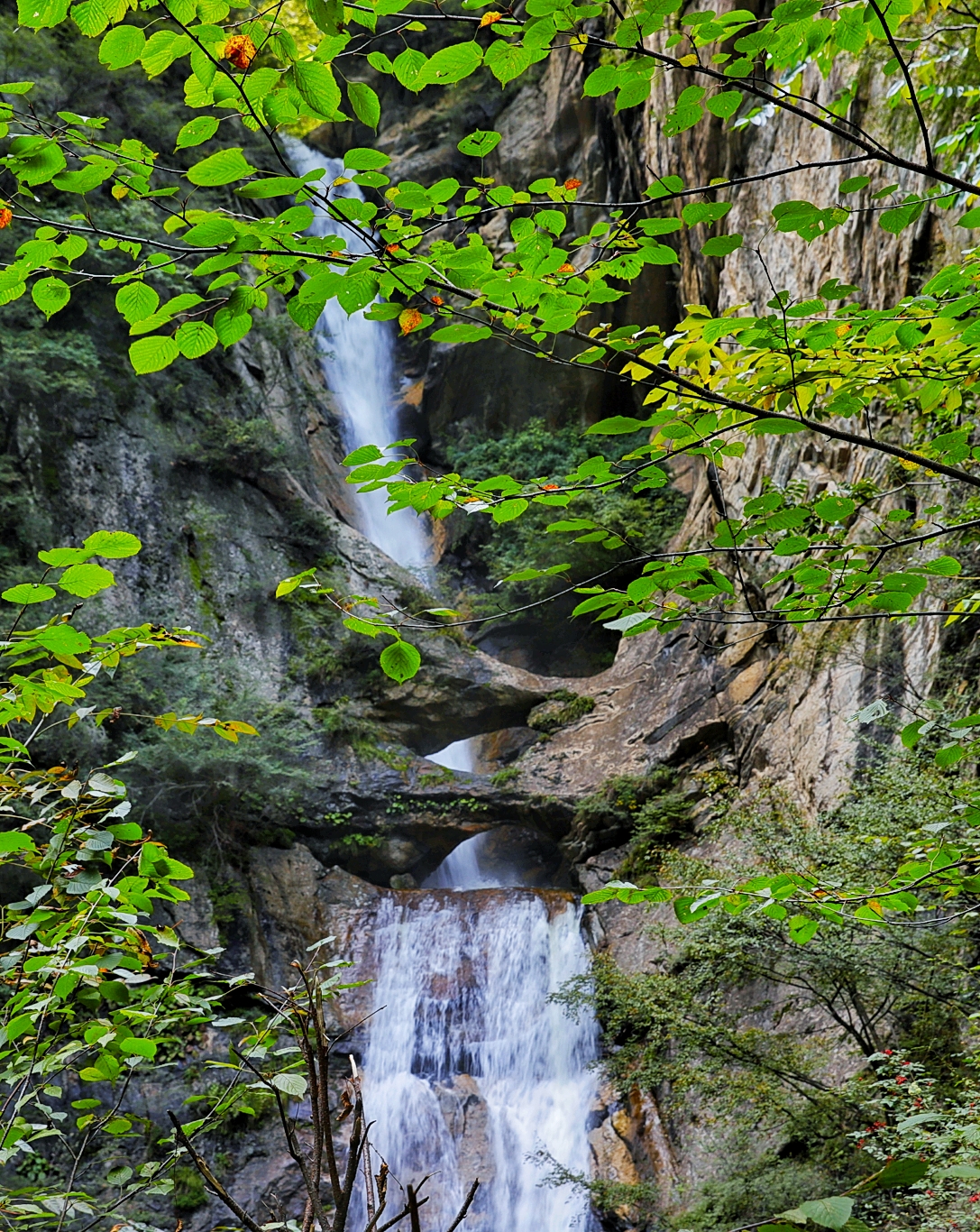 20200923145857__MG_2752-01.jpeg