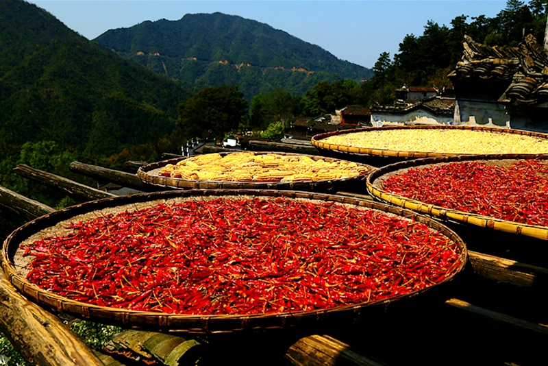 IMG_5574_8秋晒.jpg