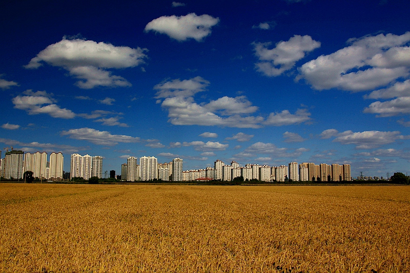 IMG_2572_8副本.jpg