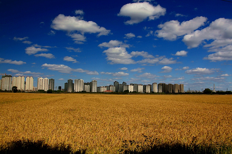 IMG_2575_8副本.jpg