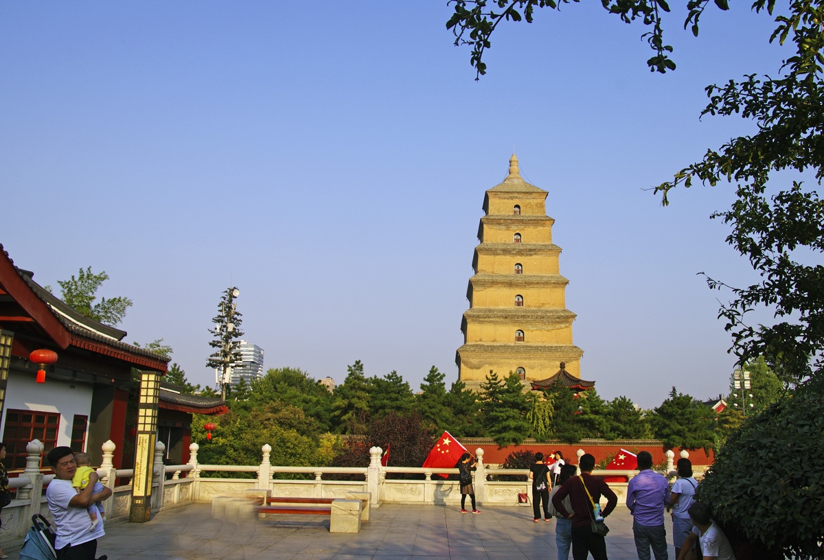 IMGP7877.jpg