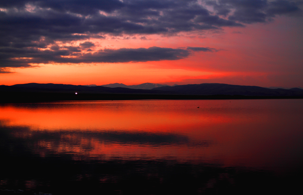 _MG_2682.JPG