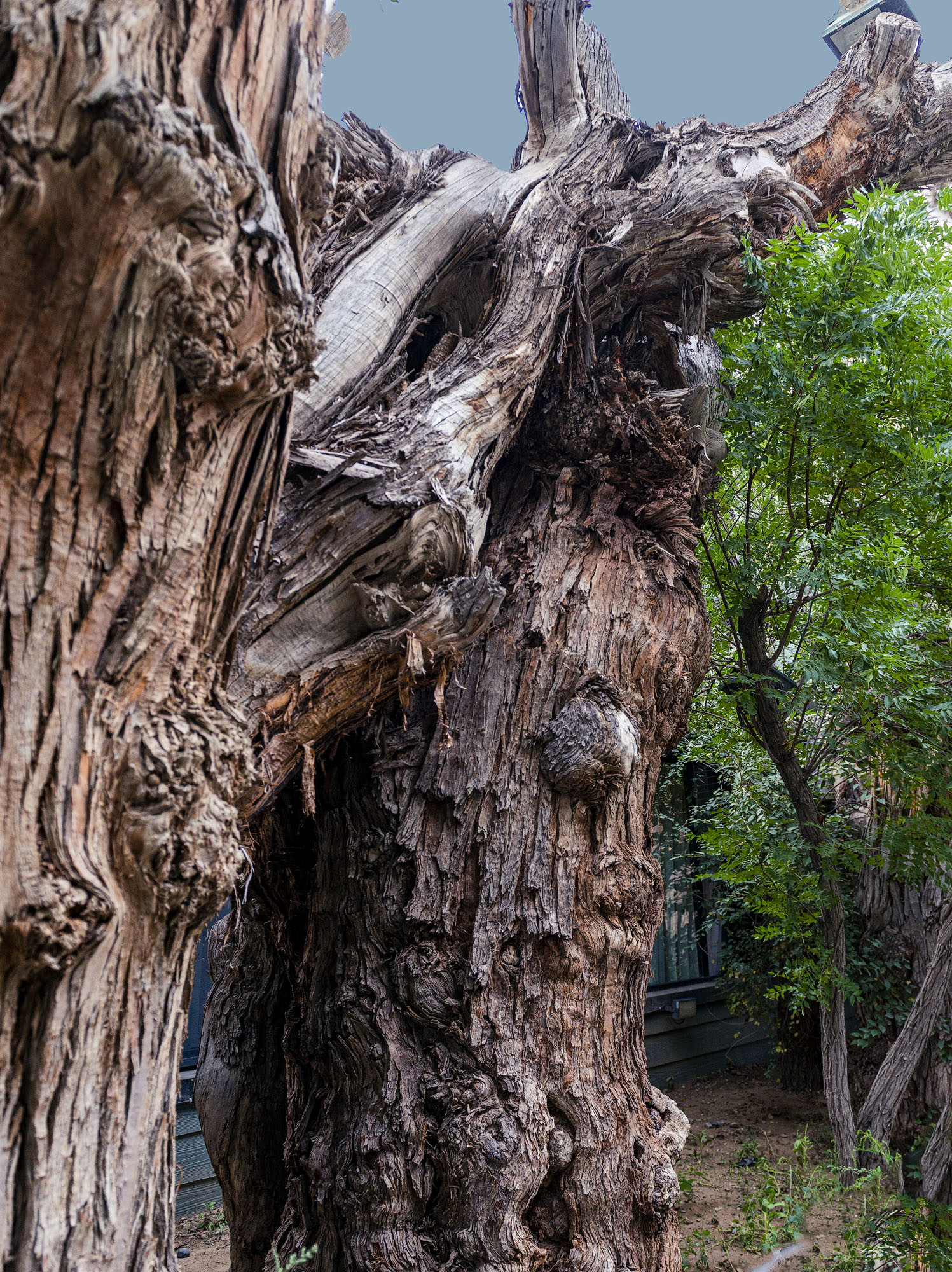 _DSC6328-1.jpg
