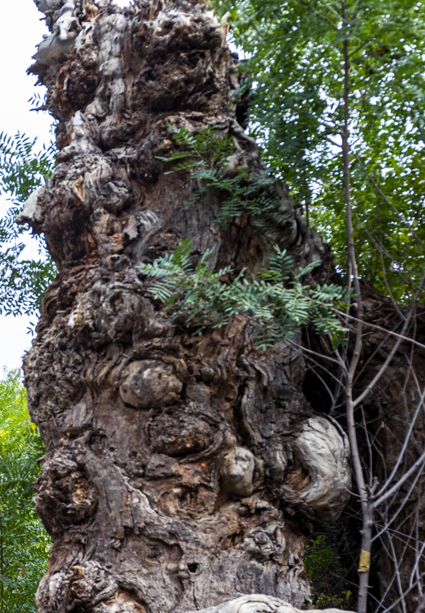 _DSC6330-1-2.jpg