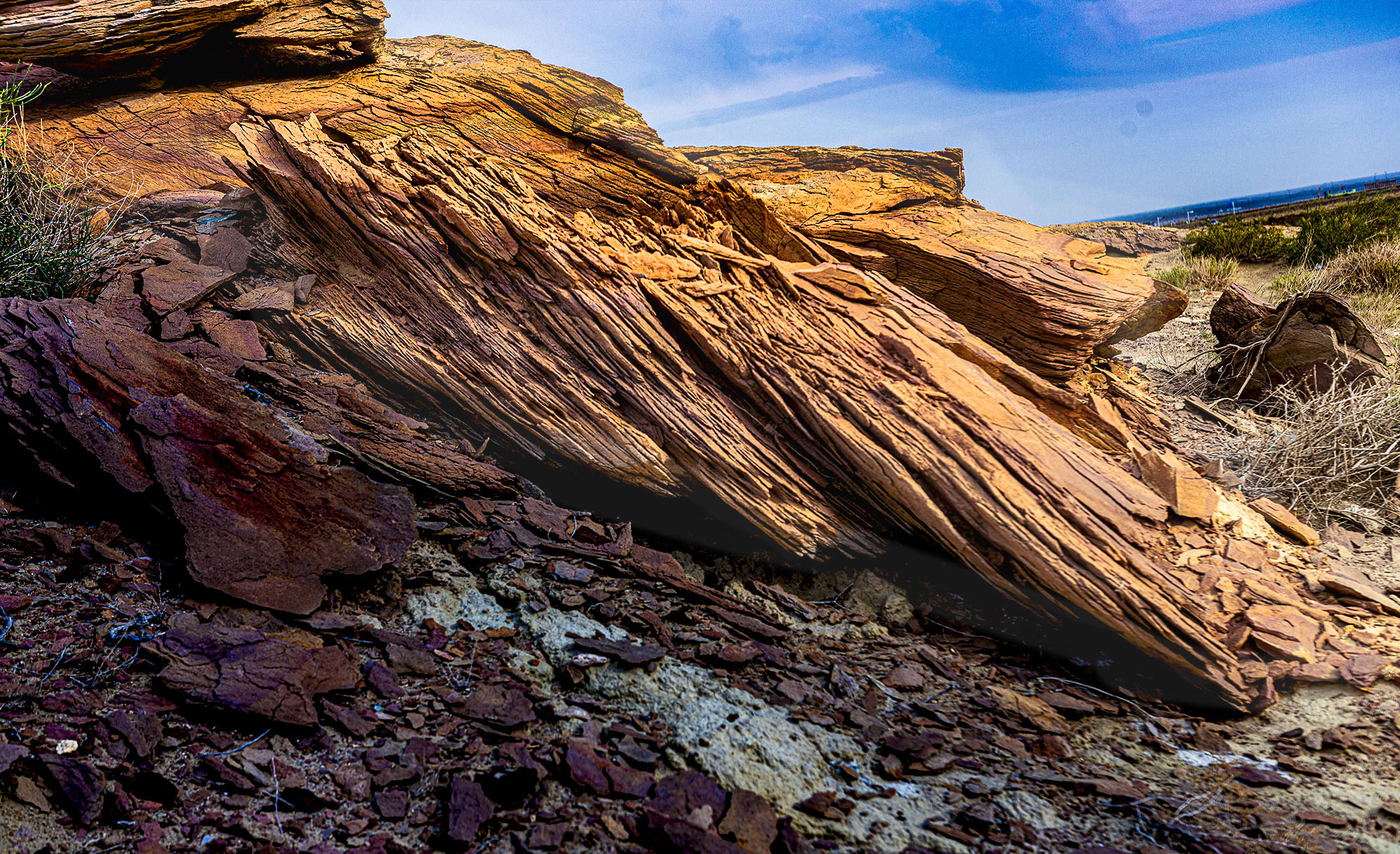 _DSC757-1.jpg