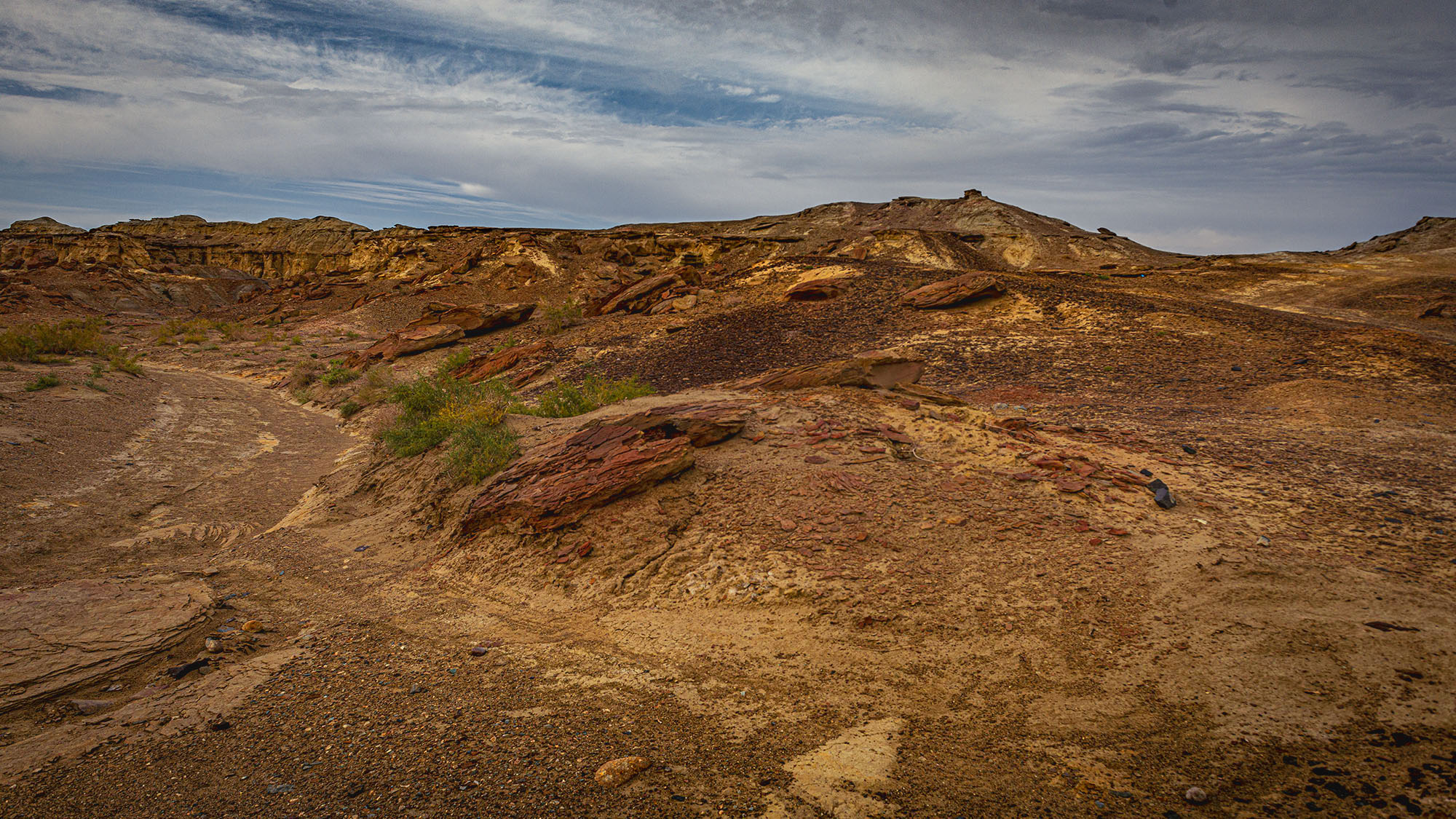 _DSC7558-.jpg
