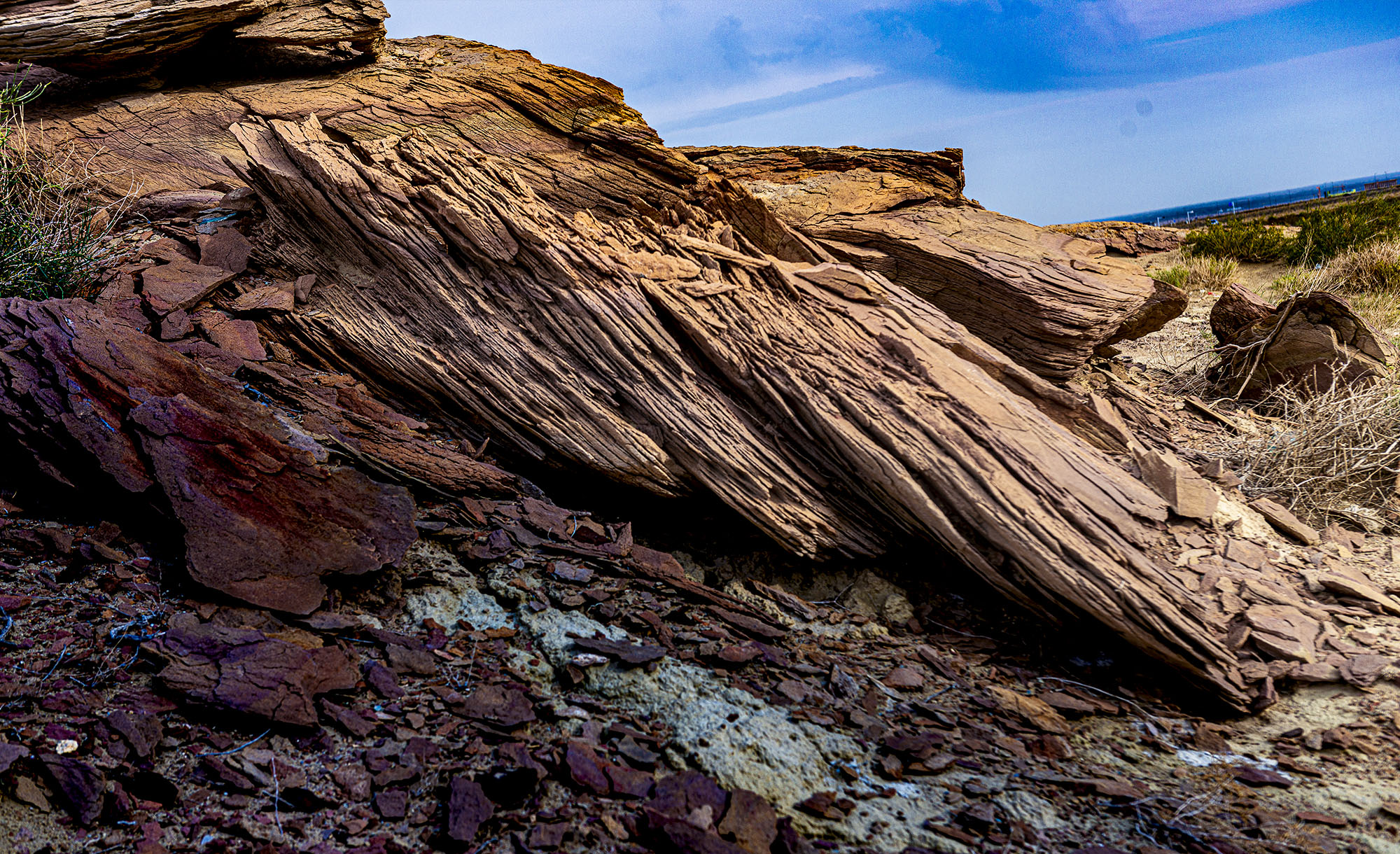 _DSC7571-1.jpg