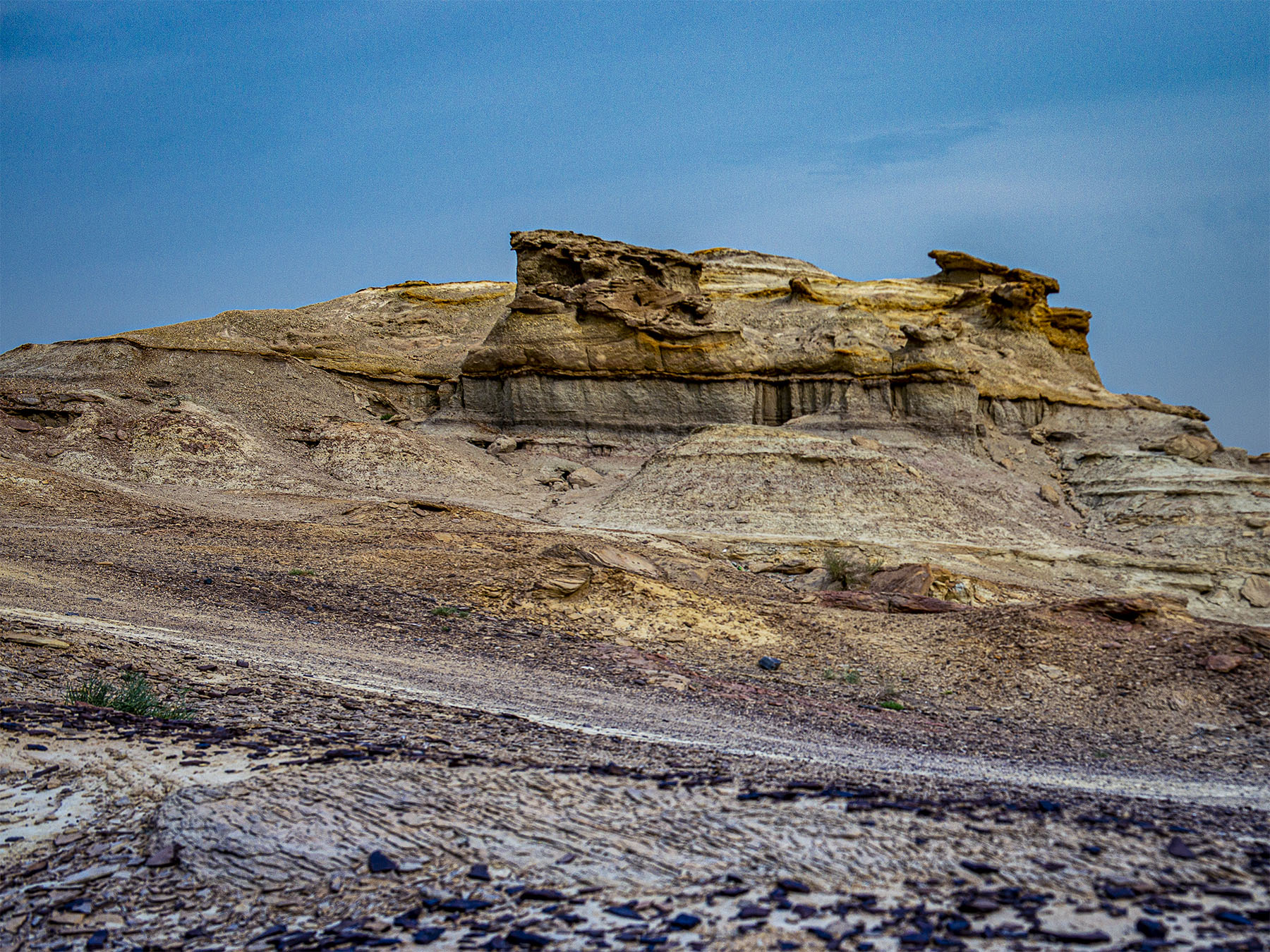 _DSC7575-1.jpg