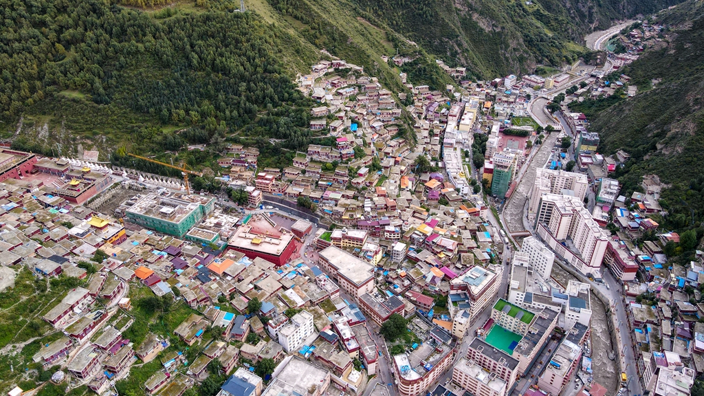 DJI_0339_副本.jpg